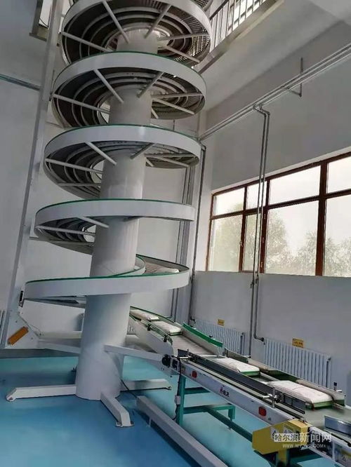 全省首个高度智能化稻米加工车间投用 1.3万平方米工厂仅用15人，智能电网技术助力